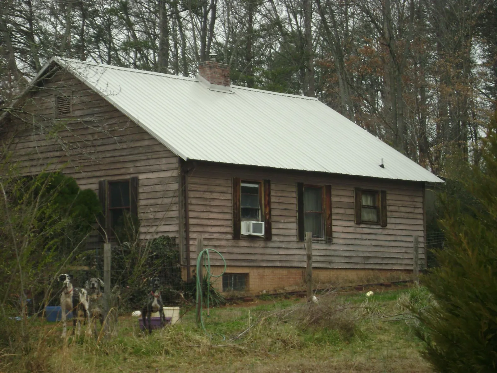 White metal roof on an old wood sided farmhouse, from a Asphalt Shingle Roof Repair job in Ivor